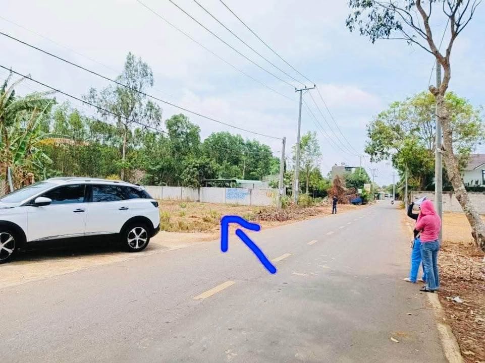 Đất nền Đoàn Trung Còn Đất Đỏ 300m² giá 6.5 tỷ - Đầu tư sinh lời ngay!