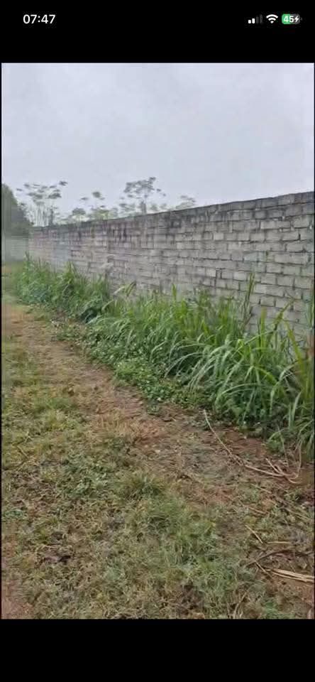 Đất nền Thôn Thanh Sơn, Hà Nam 4499m² giá chỉ 5.4 tỷ - Cơ hội đầu tư hiếm có!