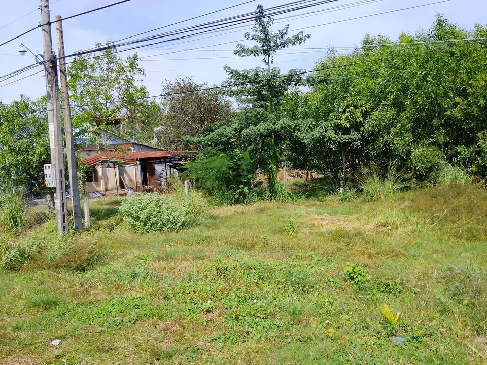 Đất nền mặt tiền nhựa Thanh Hoà, phường Thanh Điền, 350m² - Giá chỉ 110 triệu!