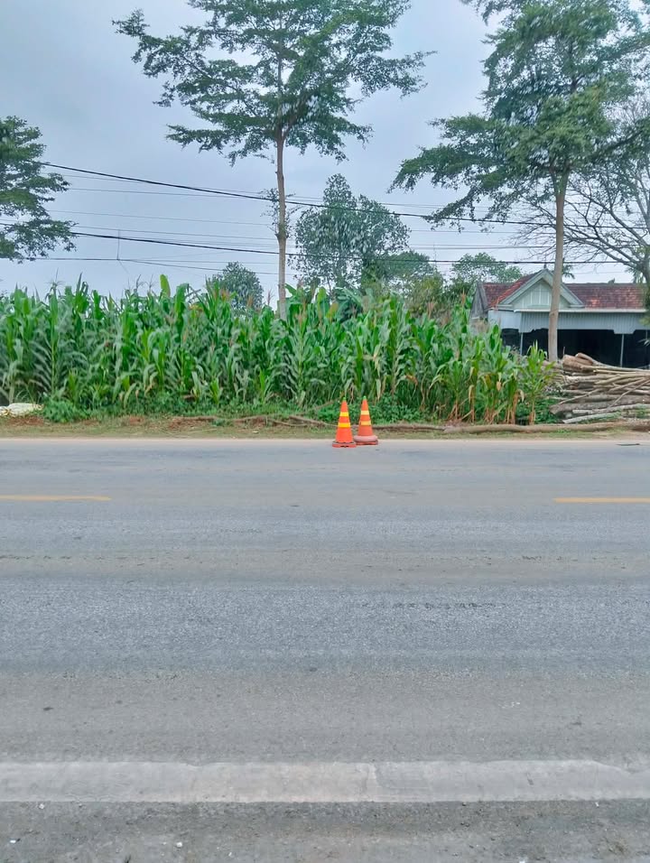 Đất nền Quốc lộ 48A Thái Hòa 348m² giá 1.6 tỷ - Cơ hội đầu tư sinh lời!