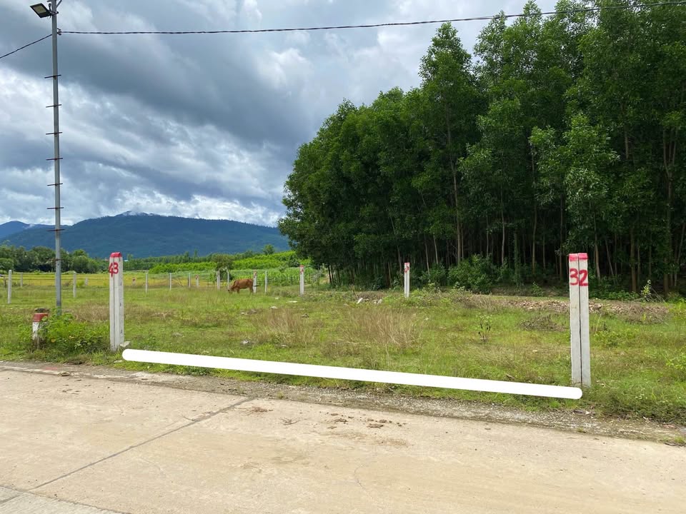 Đất nền mặt tiền đường Nhân Tâm, Khánh Hiệp 99.9m² giá chỉ 220 triệu - Đầu tư sinh lời ngay!