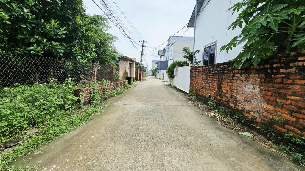 Đất lô góc Minh Phú Sóc Sơn 200m² giá thỏa thuận - Phong thủy vượng tài