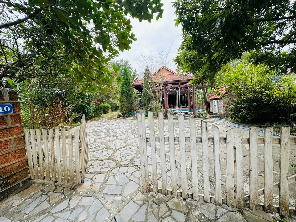 Farm nghỉ dưỡng Minh Phú Sóc Sơn 618m² - Vị trí đắc địa phong thủy đẹp!