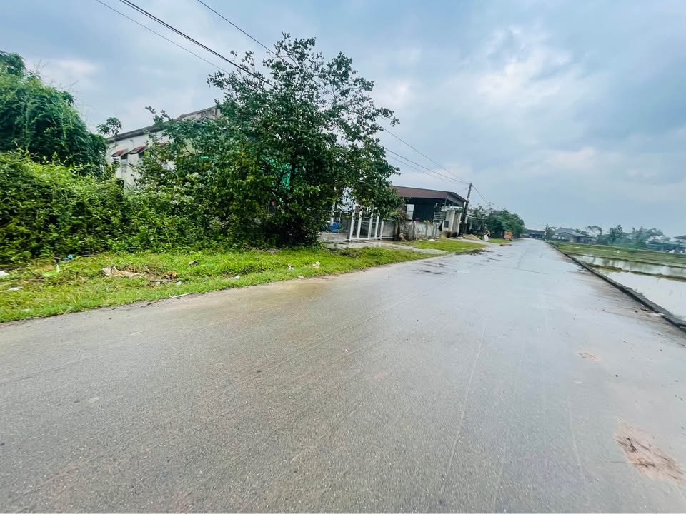 Đất nền Nam Điền 164m² giá 800 triệu - Cơ hội đầu tư sinh lời!