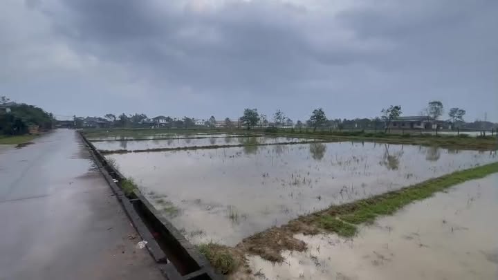 Lô đất đẹp xã Nam Điền 164.5m² giá 800 triệu - Đầu tư sinh lợi cao!