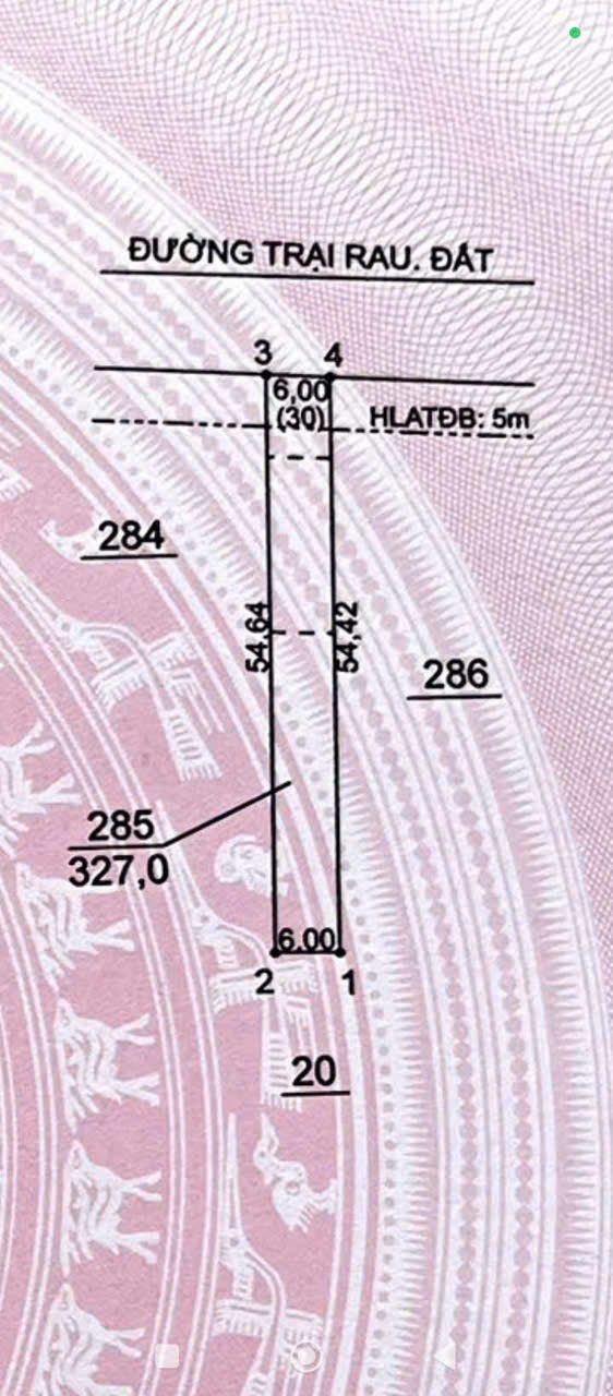 Đất nền Phước Hoà, Bình Dương 324m² giá 1.2 tỷ - Sổ riêng, đầu tư sinh lời!