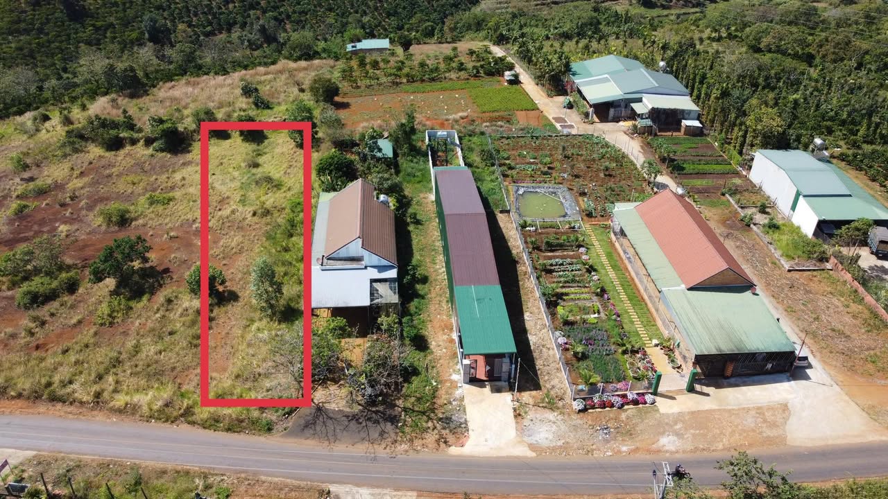 Đất nền thổ cư 5000m² tại Đắk Wer, Đắk R'Lấp - Giá chỉ 2.6 tỷ, cơ hội đầu tư tuyệt vời!