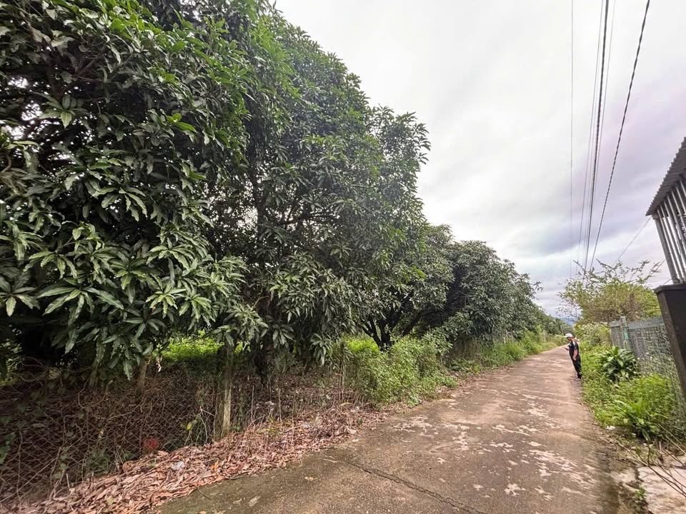 Đất thổ cư Tân Khánh - Suối Tiên 446m² chỉ 1.8 tỷ - Cơ hội đầu tư tuyệt vời!