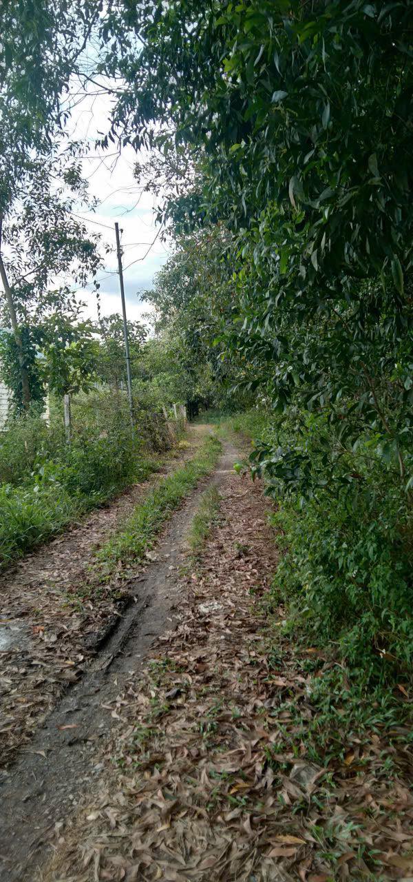 Đất nền Xuân Bắc 10.000m² giá 1.5 tỷ - Cần bán gấp!