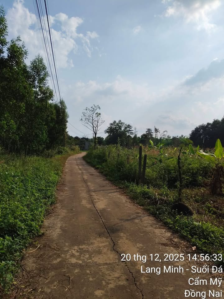 Đất thổ cư ấp Lang Minh, Xuân Phú, 294m² chỉ 770 triệu - Cơ hội đầu tư tuyệt vời!