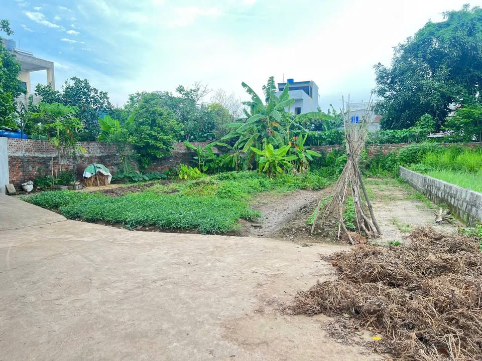 Đất nền dự án Tây Giang, Tiền Hải 130m² giá 1.3 tỷ - Đầu tư sinh lời tốt!