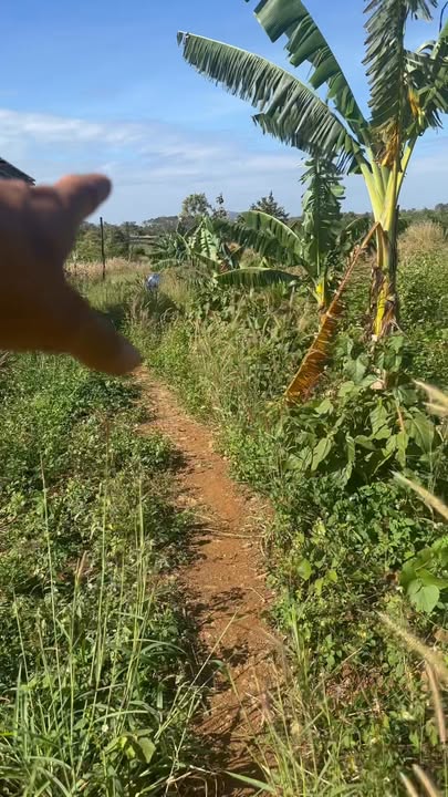 Đất Farm Ea H'Leo 2,8ha - Sát đường bê tông lớn, thổ cư đẹp