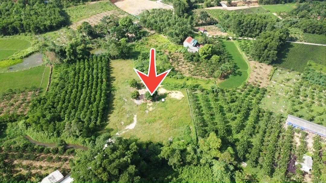 Đất nền Ngọc Thanh, Phúc Yên 2858m² giá 9 tỷ - Thanh khoản nhanh chóng!