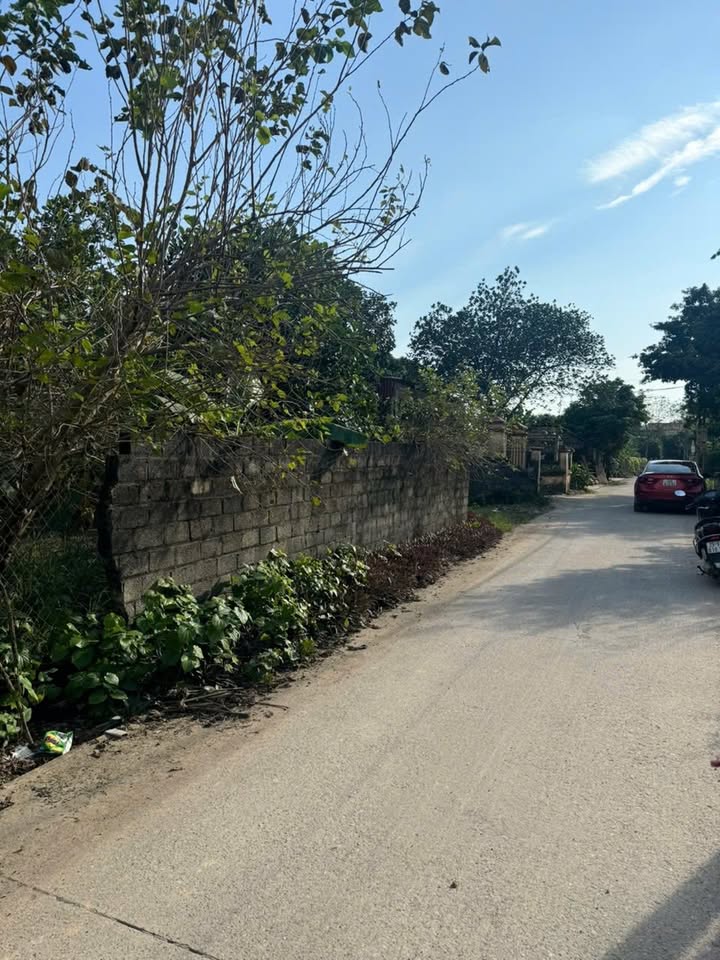 Đất nền Cẩm Lĩnh, Ba Vì 850m² giá thỏa thuận - Mảnh đất 2 mặt tiền cực đẹp!