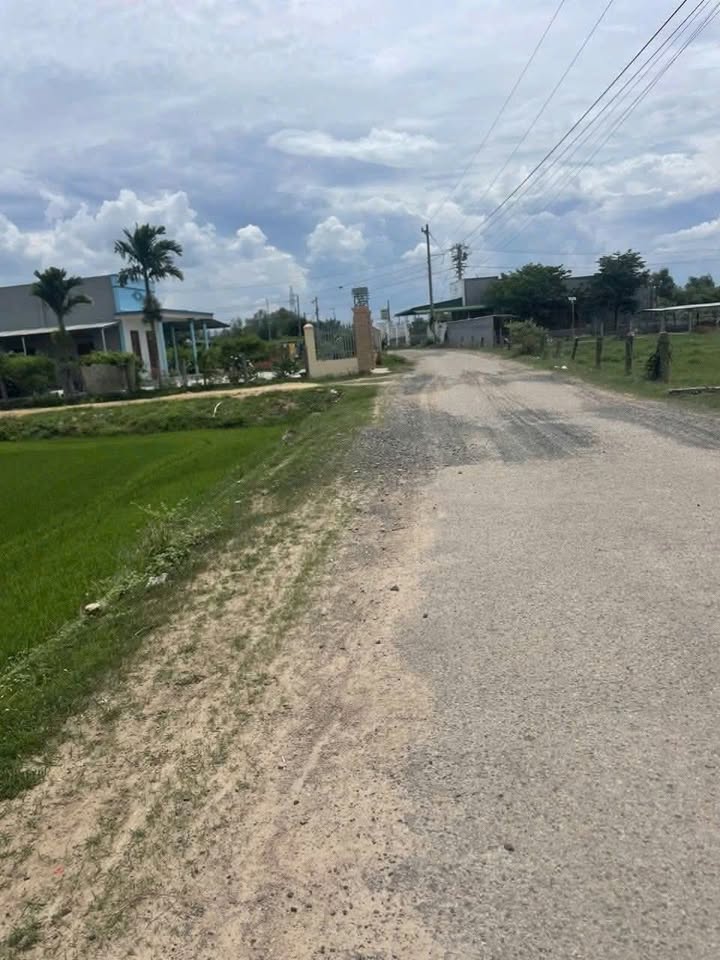 Đất cây trồng 2500m² tại Hàm Chính, Bình Thuận giá 1 tỷ - Mặt tiền đường nhựa rộng rãi!