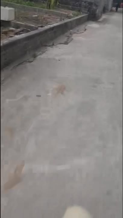 Đất nền Tự Nhiên Thường Tín 120m² giá 960 triệu - Ngõ rộng ô tô vào tận nơi!