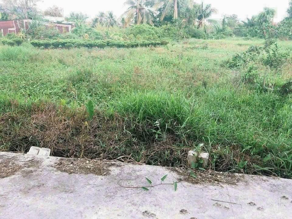 Đất thổ cư phường 6, TP Tân An, Long An - Diện tích 115m² giá 500 triệu - Cơ hội đầu tư tuyệt vời!