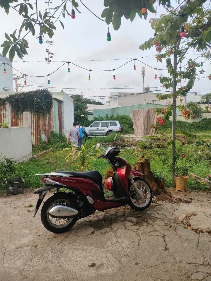 Đất nền 90m² tại Đô Lương, Vũng Tàu - Giá chỉ 650 triệu, Sổ đỏ chính chủ!