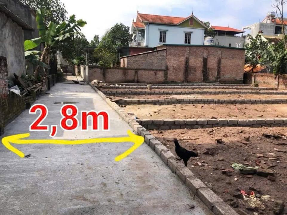 Đất nền Thanh Mai, Thanh Oai 64.6m² giá chỉ 3 tỷ - Ô tô vào tận đất!
