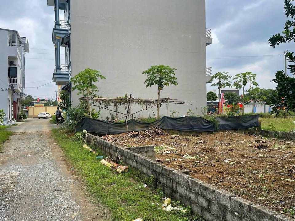 Đất đấu giá Nam Phương Tiến Chương Mỹ 72m² giá chỉ 2 tỷ - Cơ hội đầu tư tuyệt vời!