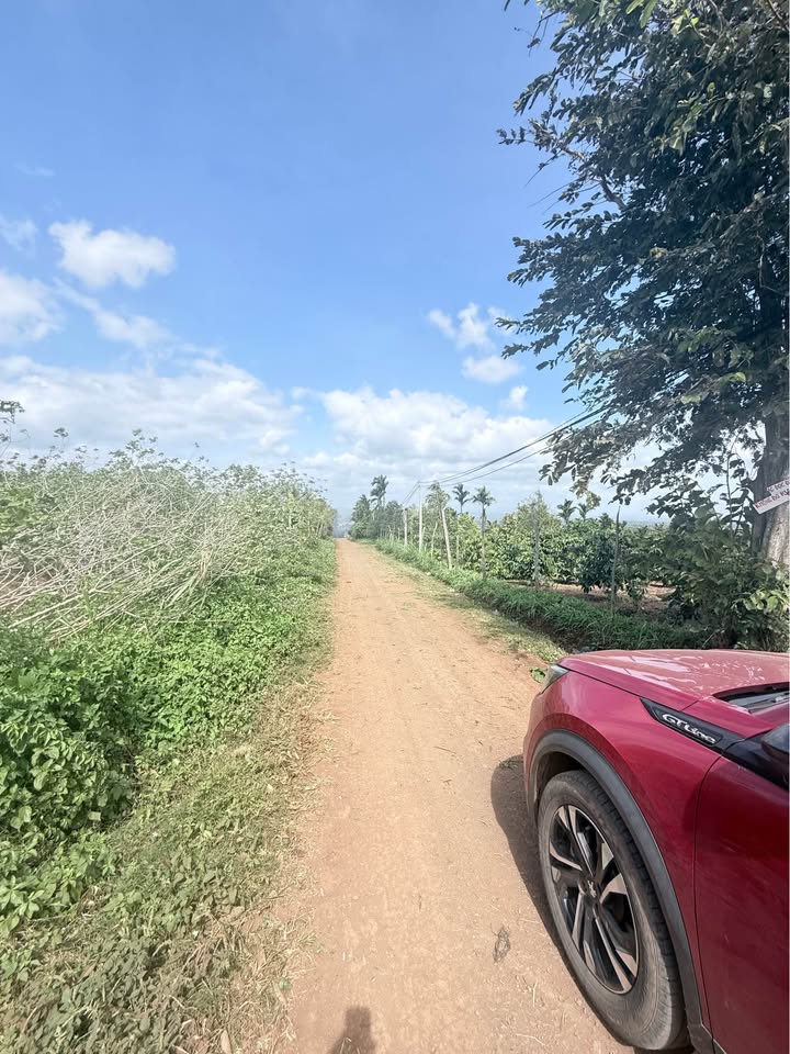 Đất nền Cư Bao, Buôn Hồ 500m² giá 350 triệu - Cơ hội đầu tư hấp dẫn!