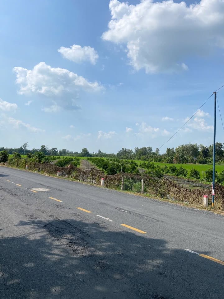 Bán Farm Vườn Mít 3635m² Mặt Tiền Tỉnh Lộ 919 - Cơ Hội Đầu Tư Hiếm Có!