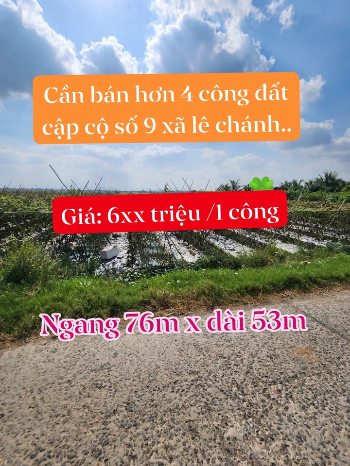 Đất nền diện tích 4017m² tại xã Lê Chánh, Tân Châu, An Giang - Giá chỉ 2.41 tỷ, đầu tư sinh lời hấp dẫn!