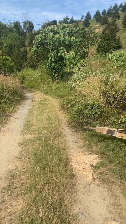 Đất CLN Đạ Lây 10.000m² giá 1.1 tỷ - Cơ hội đầu tư hấp dẫn!