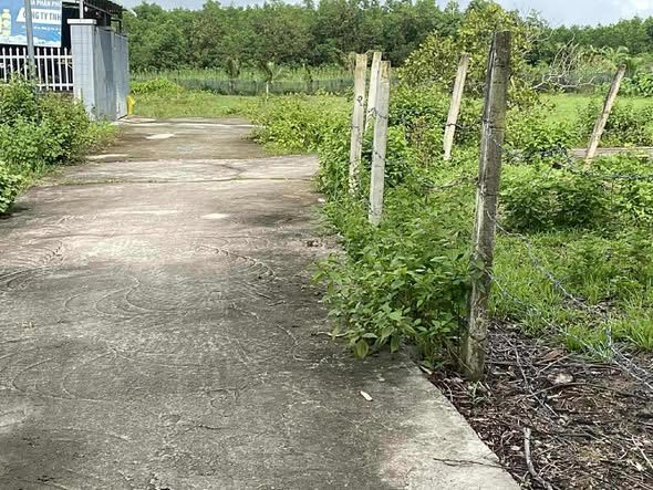 Lô đất Suối Cát, Xuân Lộc 280m² giá chỉ 700 triệu - Cơ hội đầu tư tuyệt vời!