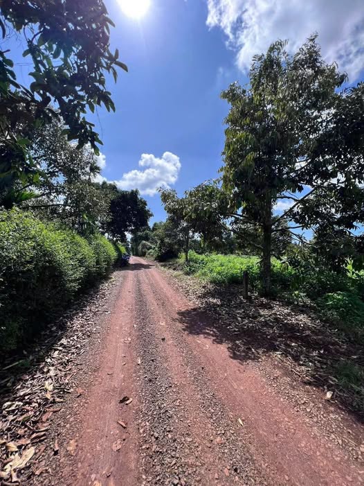 Đất thổ cư Thiện An, Buôn Hồ 504m² giá 15 triệu - Đường 2 mặt tiền rộng rãi!