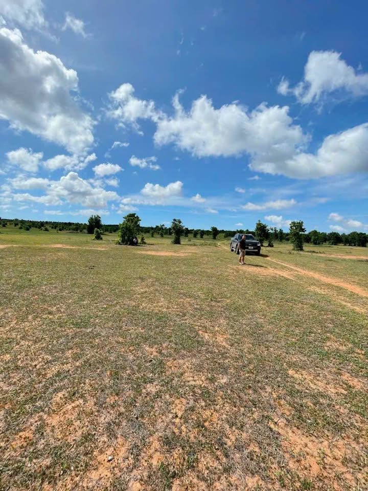 Đất nông nghiệp 21000m² tại Hòa Thắng, Bắc Bình giá 241.5 triệu - Cơ hội đầu tư hấp dẫn!