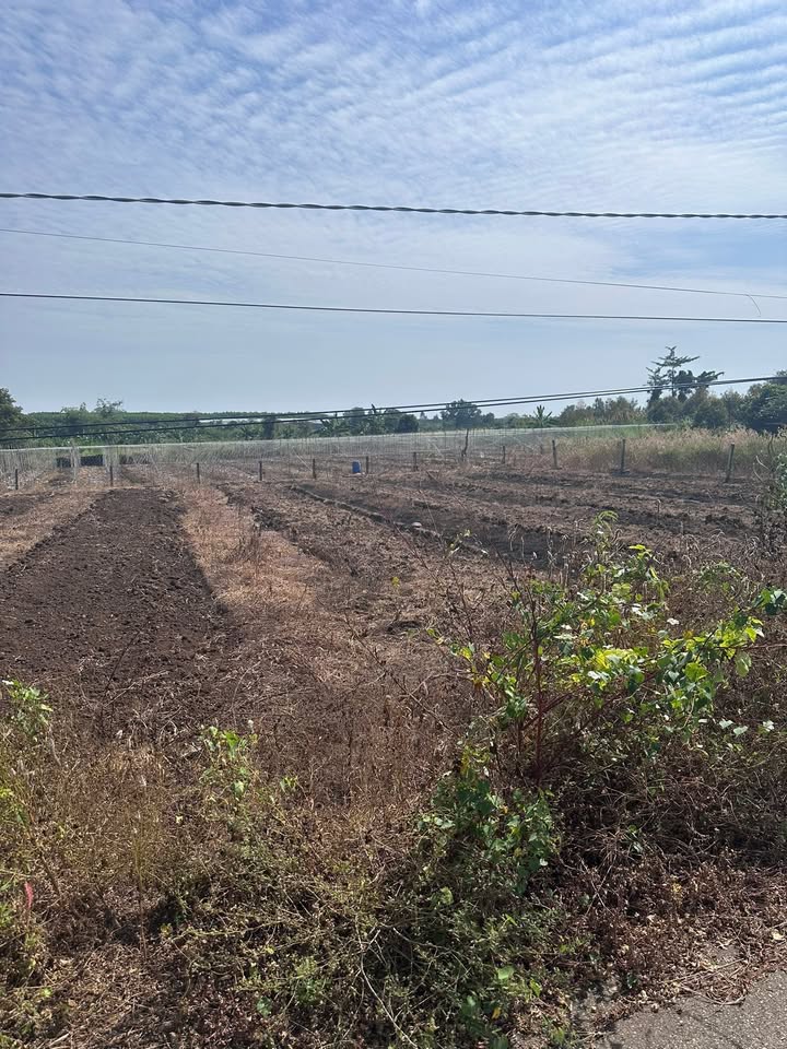 Đất nền xã Long Tân 210m² giá 880 triệu - Cơ hội đầu tư không thể bỏ lỡ!