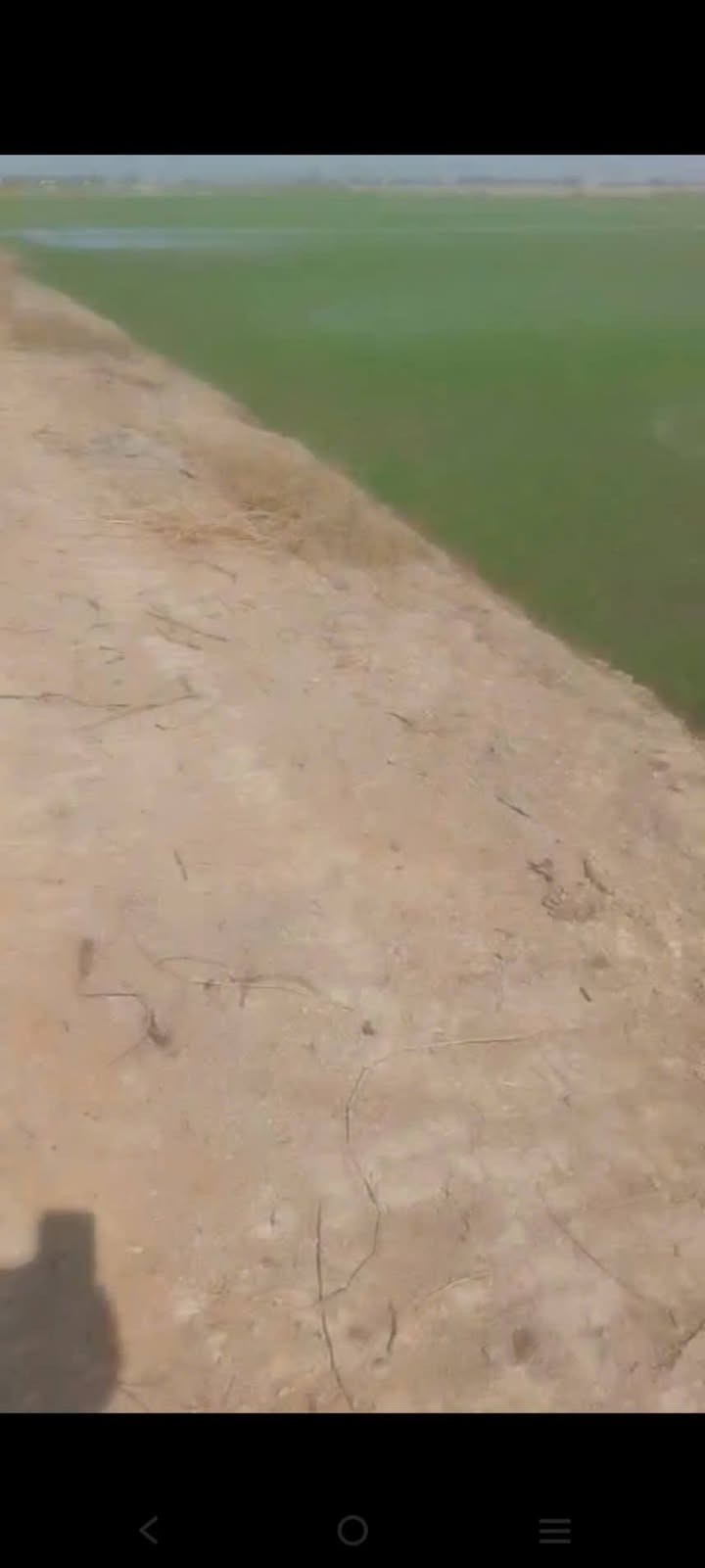 Đất nền Tân Công Sính, Tam Nông 18000m² giá 2.25 tỷ - Mặt tiền kinh doanh đắc địa!