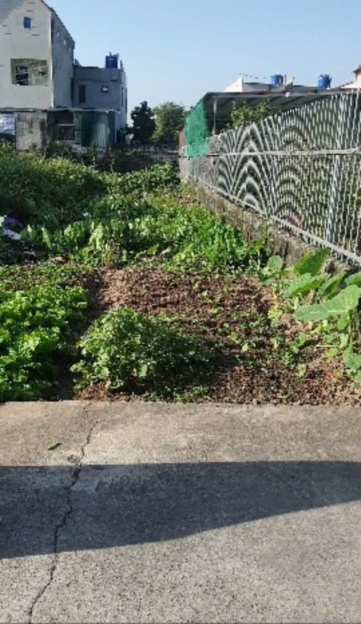 Đất thổ cư 170m² tại Yên Khánh - Giá đầu tư hấp dẫn!