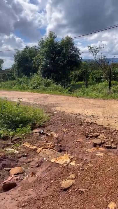 Đất vườn Ia Tô 6,5 sào giá 1,7 tỷ - Cơ hội đầu tư vàng!