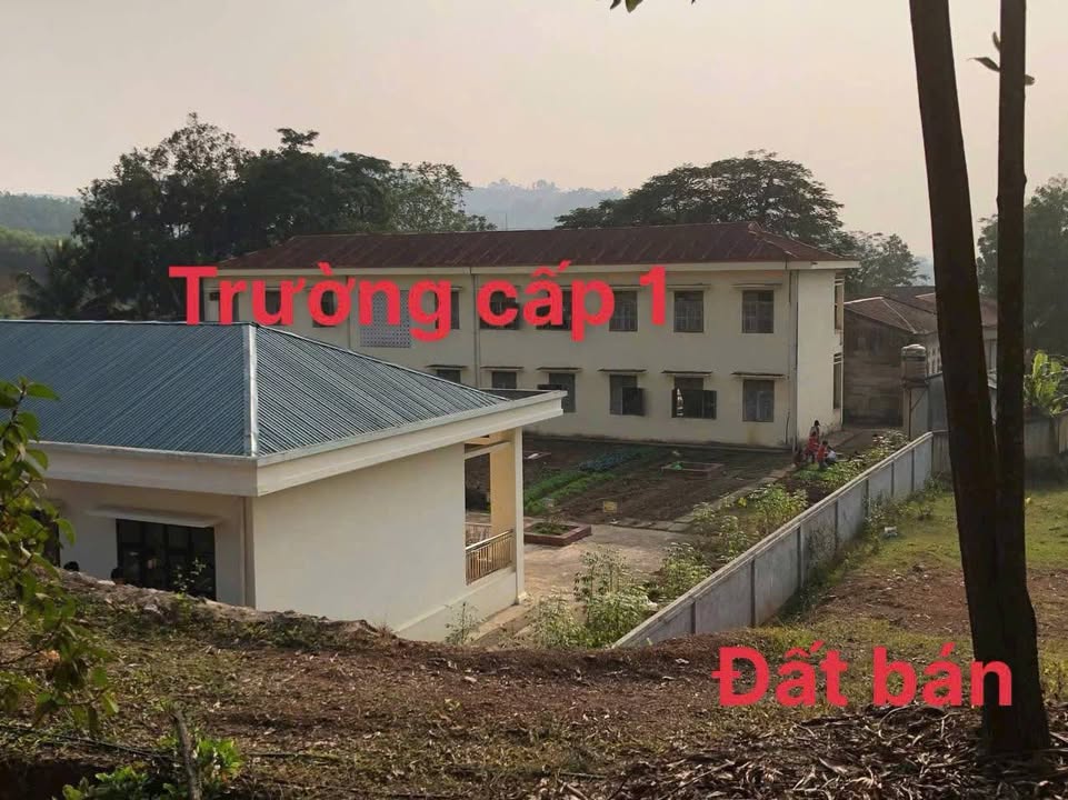 Đất nền Mỹ Thành - Lạc Sơn 5350m² giá 1.9 tỷ - Tiềm năng phát triển lớn!
