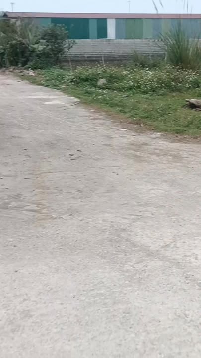 Đất nền xã An Nông, Triệu Sơn 125m² giá 1.7 tỷ - Sổ đỏ chính chủ, bám Quốc lộ 47C!