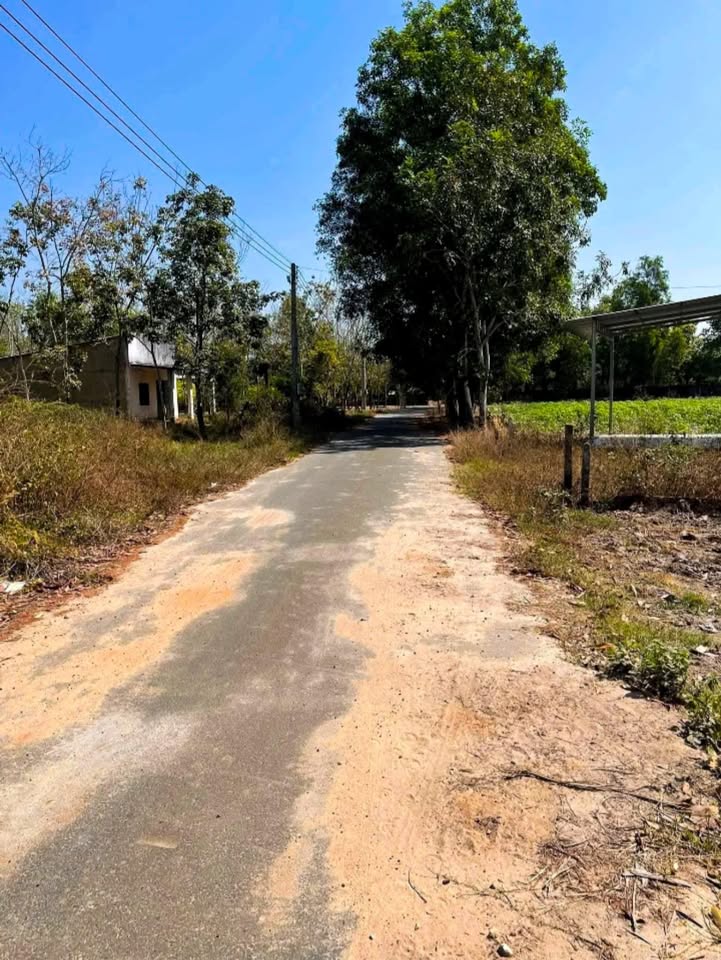 Đất nền Dầu Tiếng 800m² giá 800 triệu - Bán gấp trước Tết Nhựa!