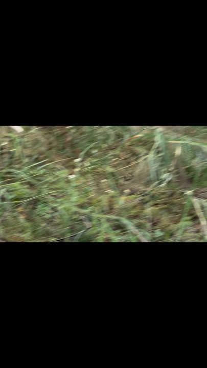 Đất thổ cư 186m² tại Quyết Thắng, Thái Nguyên - Chính chủ, giá thỏa thuận!