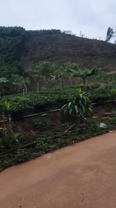 Đất nghỉ dưỡng Hồ Ghềnh Chè 1000m² giá 5 tỷ - Sổ đỏ chính chủ!