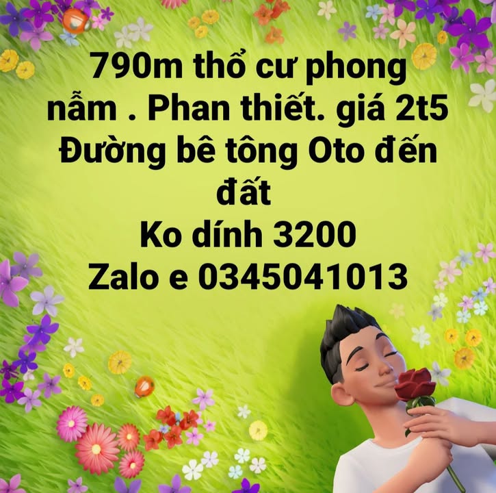 Đất thổ cư Phong Nẫm, Phan Thiết 790m² giá 2.5 tỷ - Đường ô tô vào tận nơi!