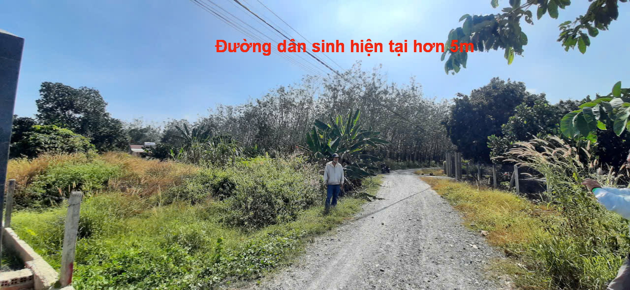 Đất thổ cư 1500m² tại Hưng Thuận, Trảng Bàng - Giá chỉ 2.5 tỷ, 2 mặt tiền đường!