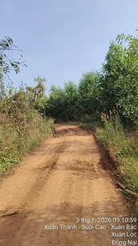 Đất nền xã Xuân Bắc, Đồng Nai 100.000m² giá 2 tỷ - Cơ hội đầu tư tuyệt vời!