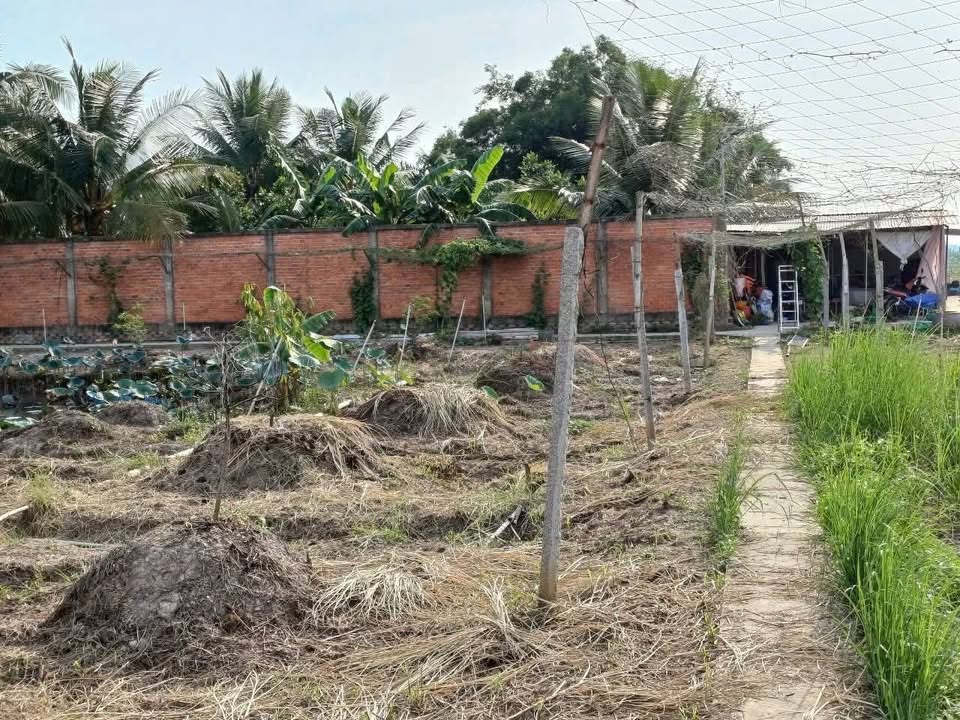 Đất nghỉ dưỡng Tân Phú Trung 9500m² giá 4.275 tỷ - Đầu tư sinh lời ngay!