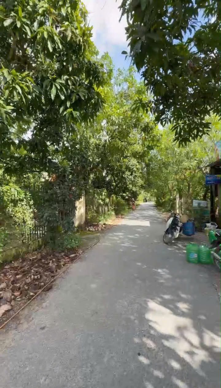 Đất nền đường Nguyễn Hương, Tịnh Thới 143.1m² - Gần chợ và trường học, giá thương lượng!