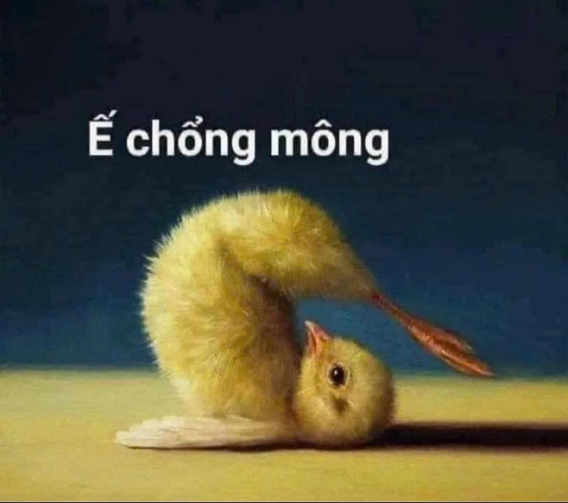 Đất nền Tân Uyên 715m² giá 3.25 tỷ - Đường xe tải rộng rãi!