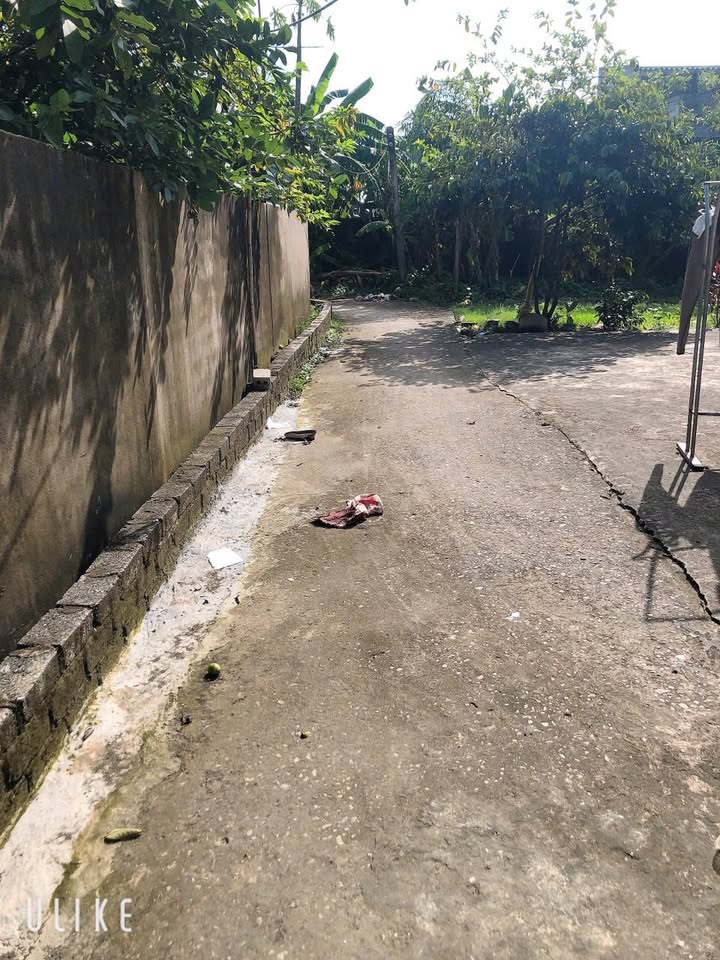 Đất thổ cư Quảng Hoà 590m² giá chỉ 600 triệu - Cơ hội đầu tư hiếm có!