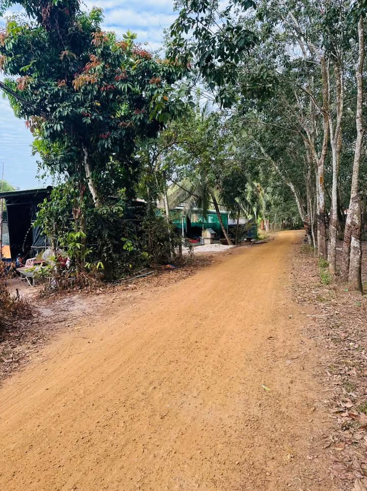 Đất nền phường Ninh Thạnh, Tây Ninh 150m² - Cơ hội đầu tư hấp dẫn!