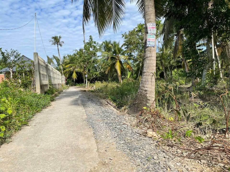 Đất vườn 2200m² Phước Hiệp, Mỏ Cày Nam giá 1.6 tỷ - Cơ hội đầu tư tuyệt vời!