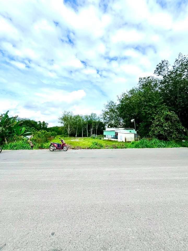 Đất nền đường Hồ Chí Minh, xã Trừ Văn Thố, 1100m² giá 1.55 tỷ - Đầu tư sinh lời hấp dẫn!